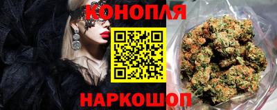 ALPHA PVP Аргун