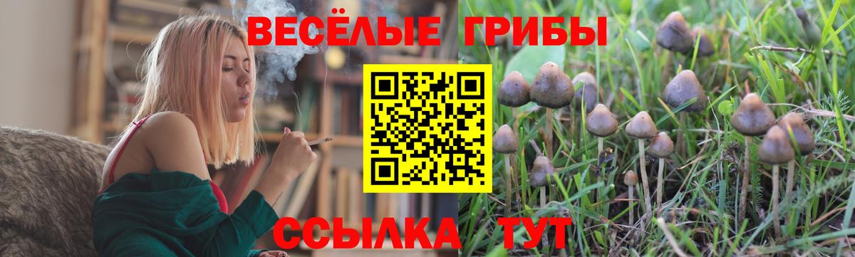 Галлюциногенные грибы мицелий Воскресенск